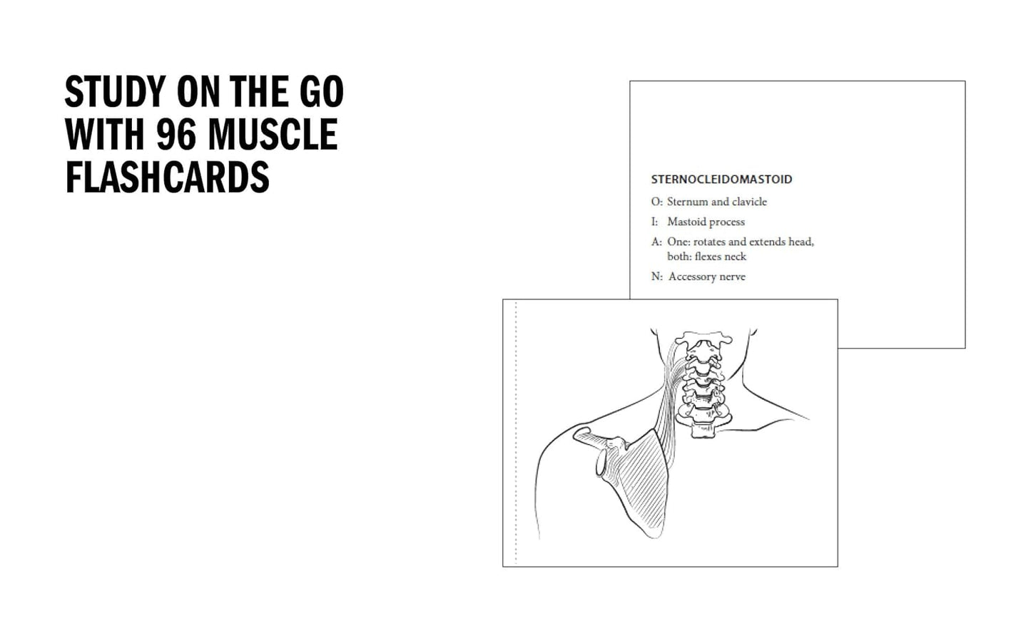 Anatomy Coloring Book