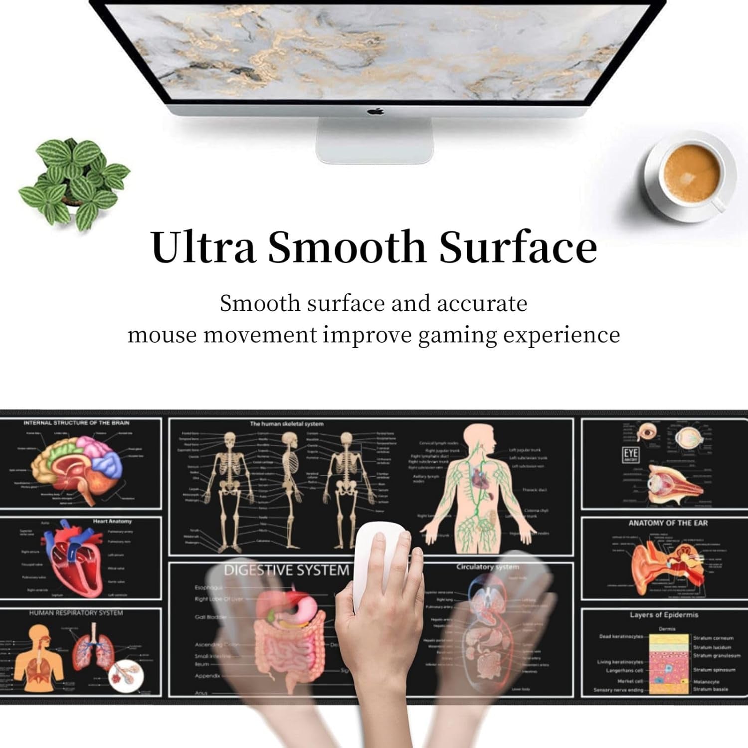 Anatomy Mouse Pad