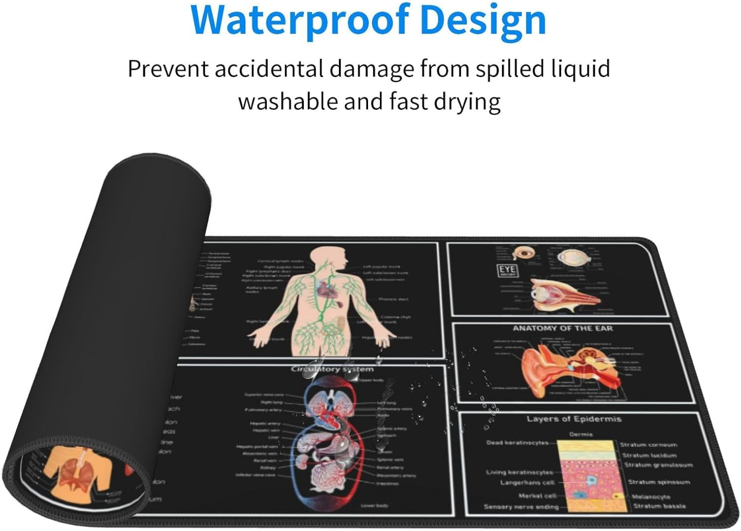 Anatomy Mouse Pad