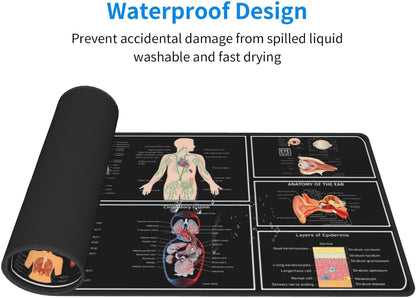 Anatomy Mouse Pad