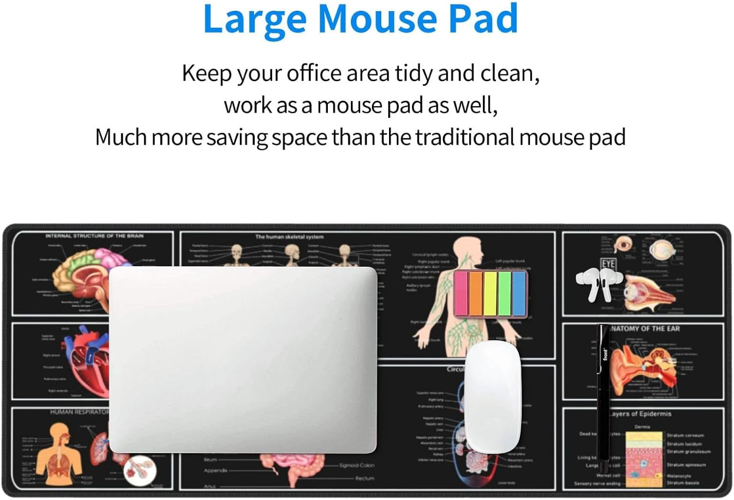 Anatomy Mouse Pad