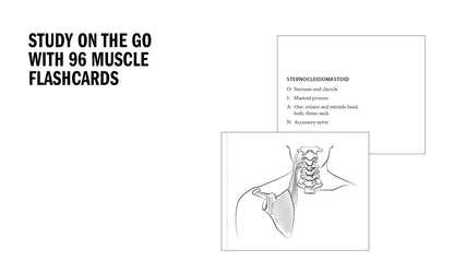 Anatomy Coloring Book 