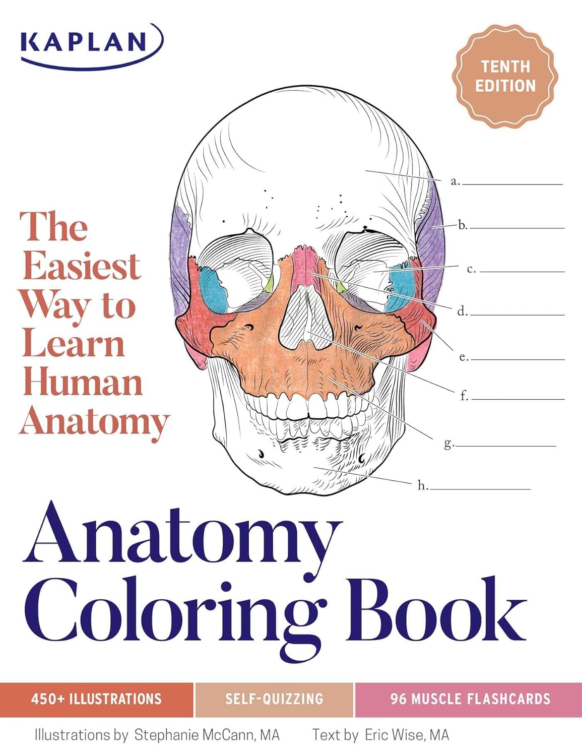 Anatomy Coloring Book 