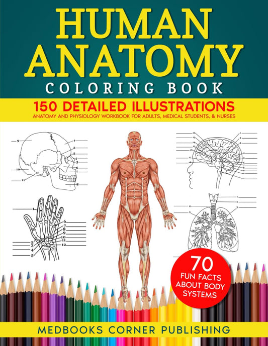 Human Anatomy Coloring Book