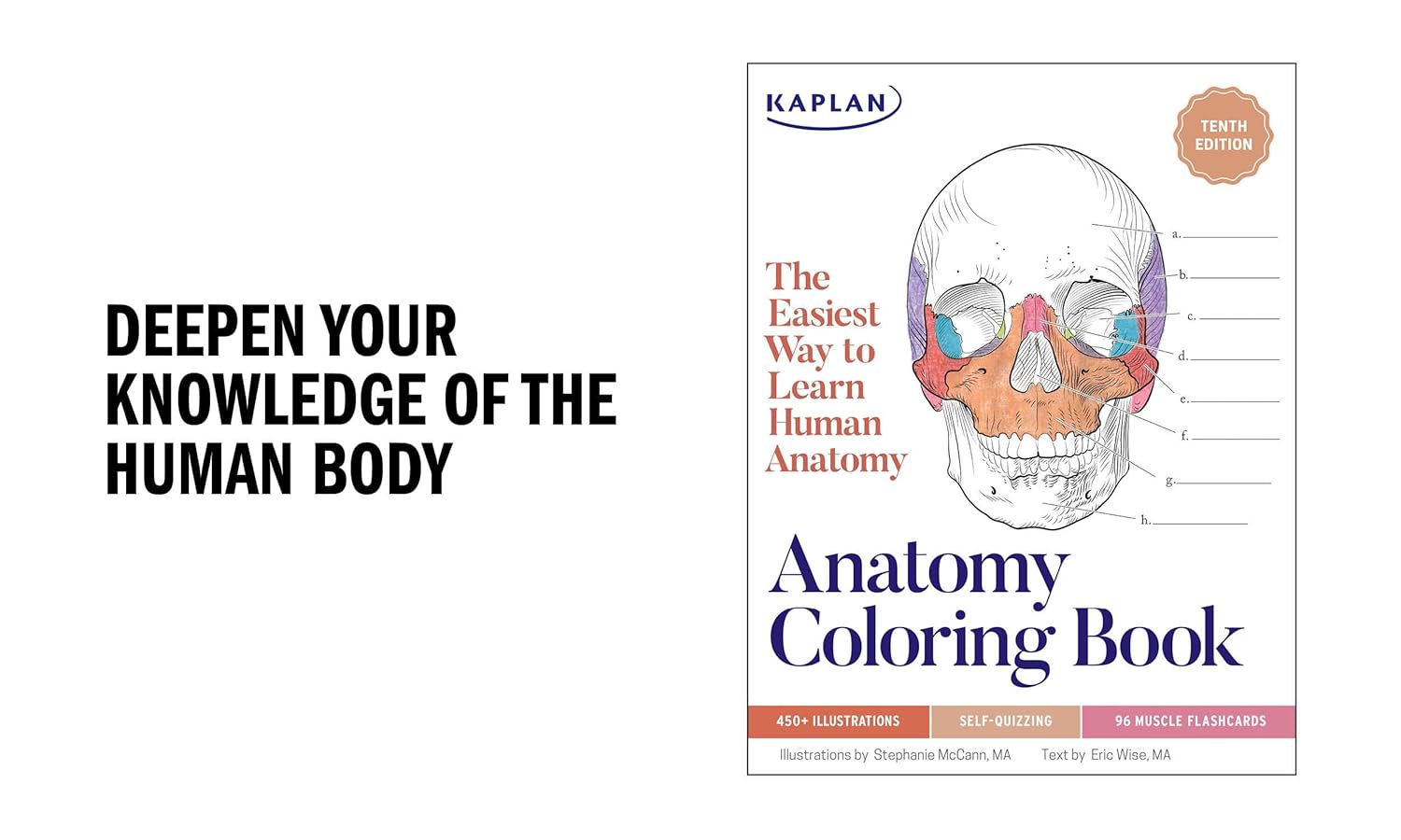 Anatomy Coloring Book 