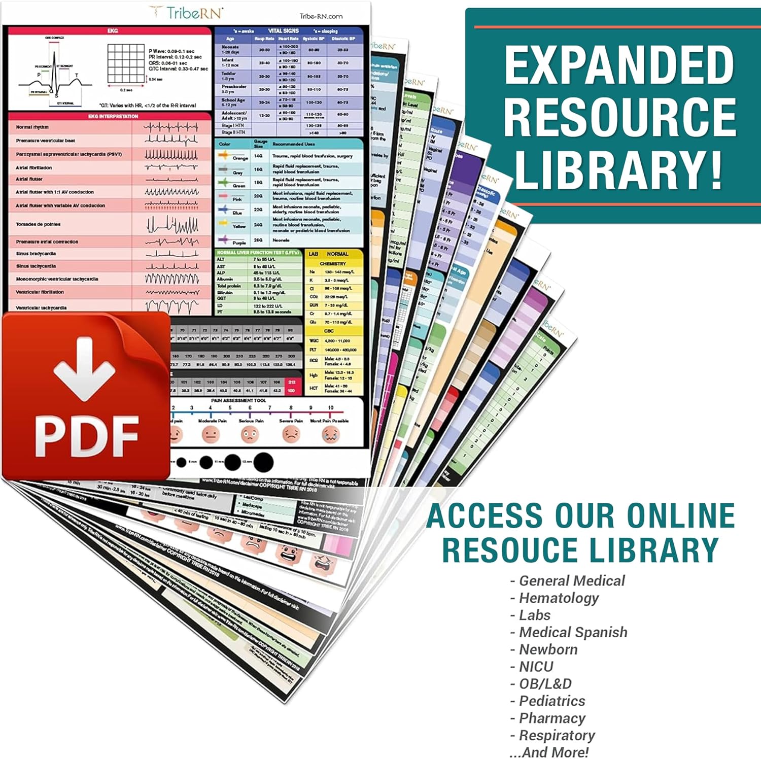 33 Nursing Reference Cards 