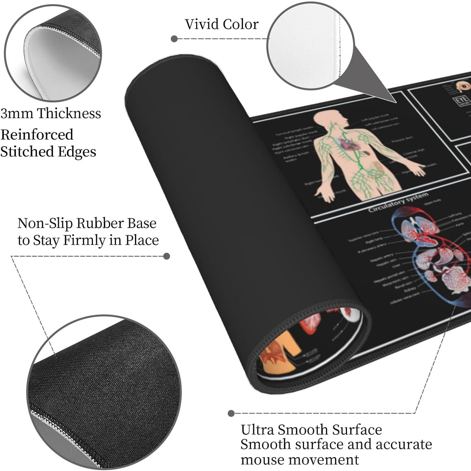 Anatomy Mouse Pad