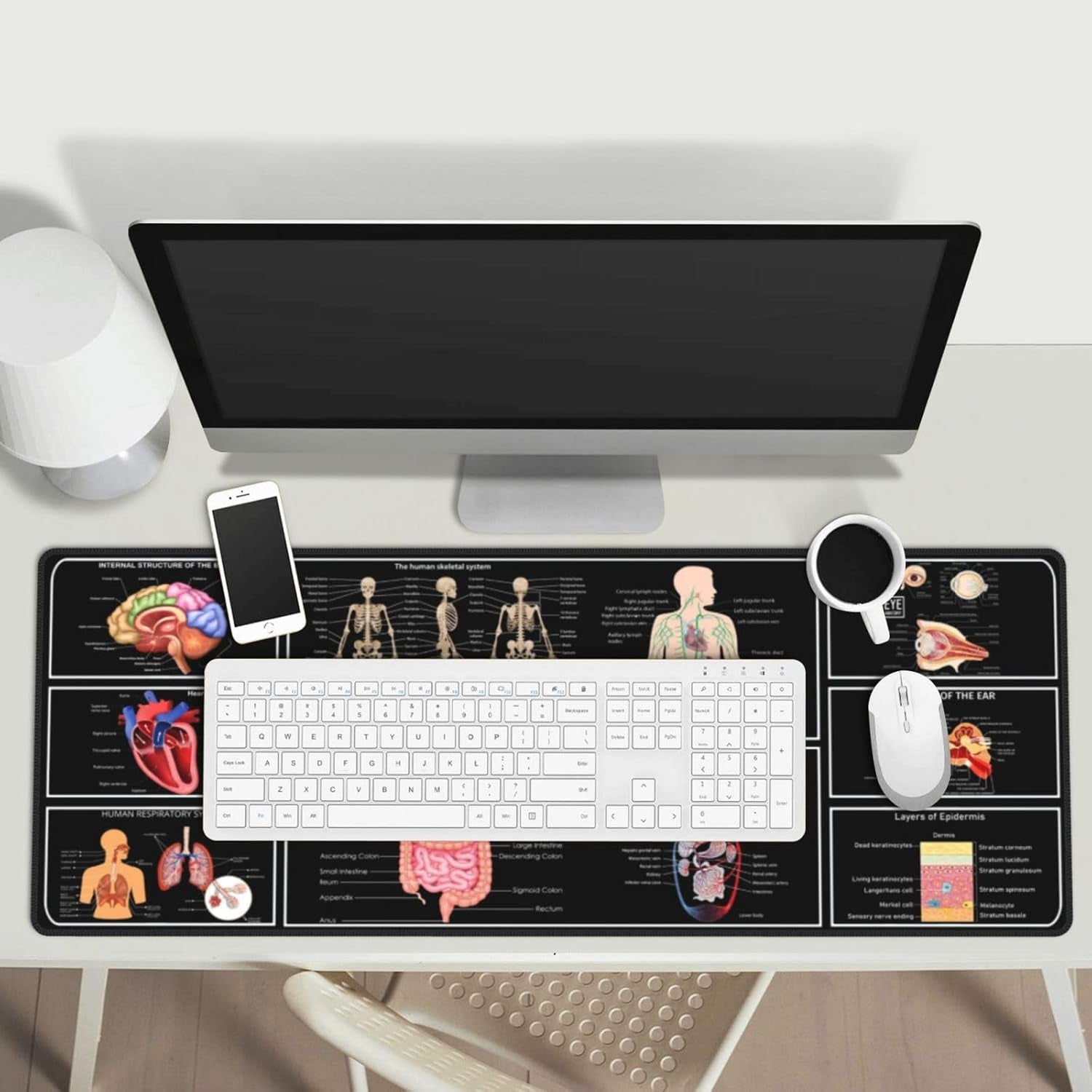 Anatomy Mouse Pad