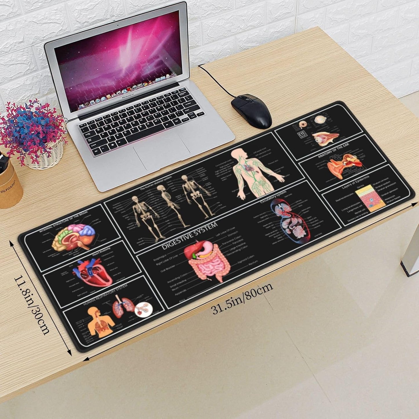 Anatomy Mouse Pad